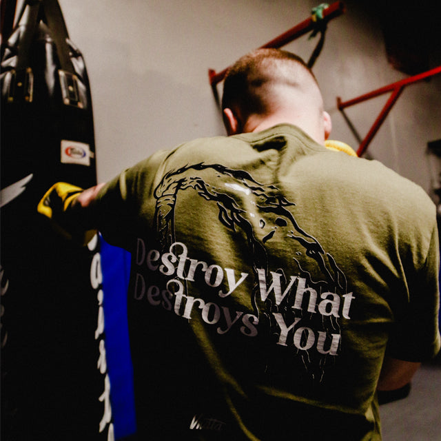 Inspiration Behind "Destroy What Destroys You"