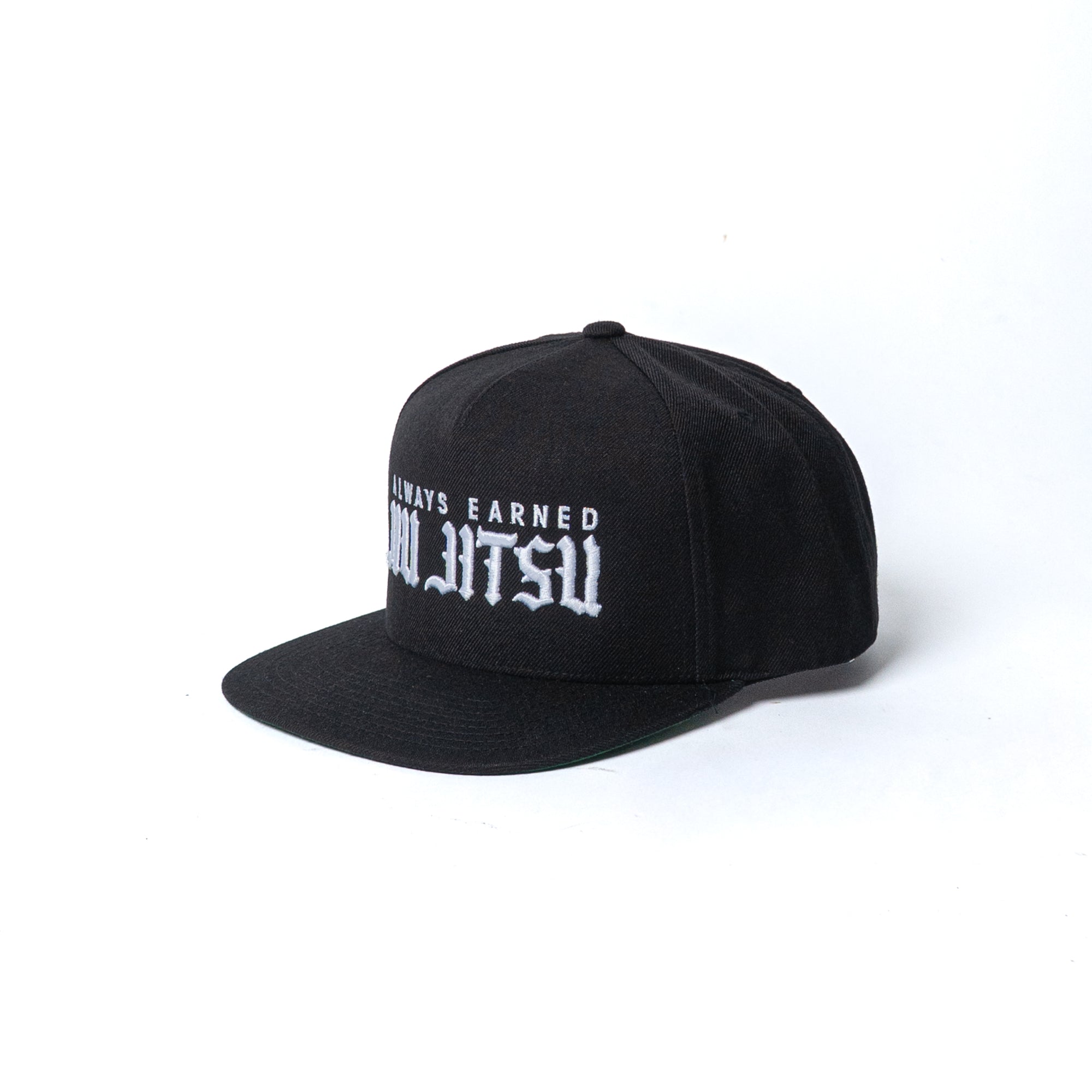 Always Earned Jiu Jitsu Snapback