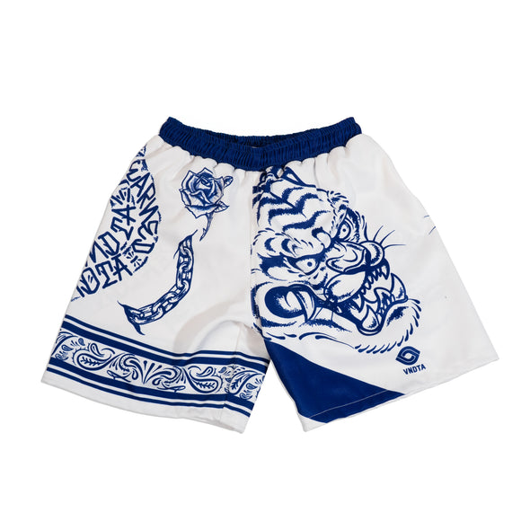 Bic Dynasty Bundle – Rashguard + Shorts
