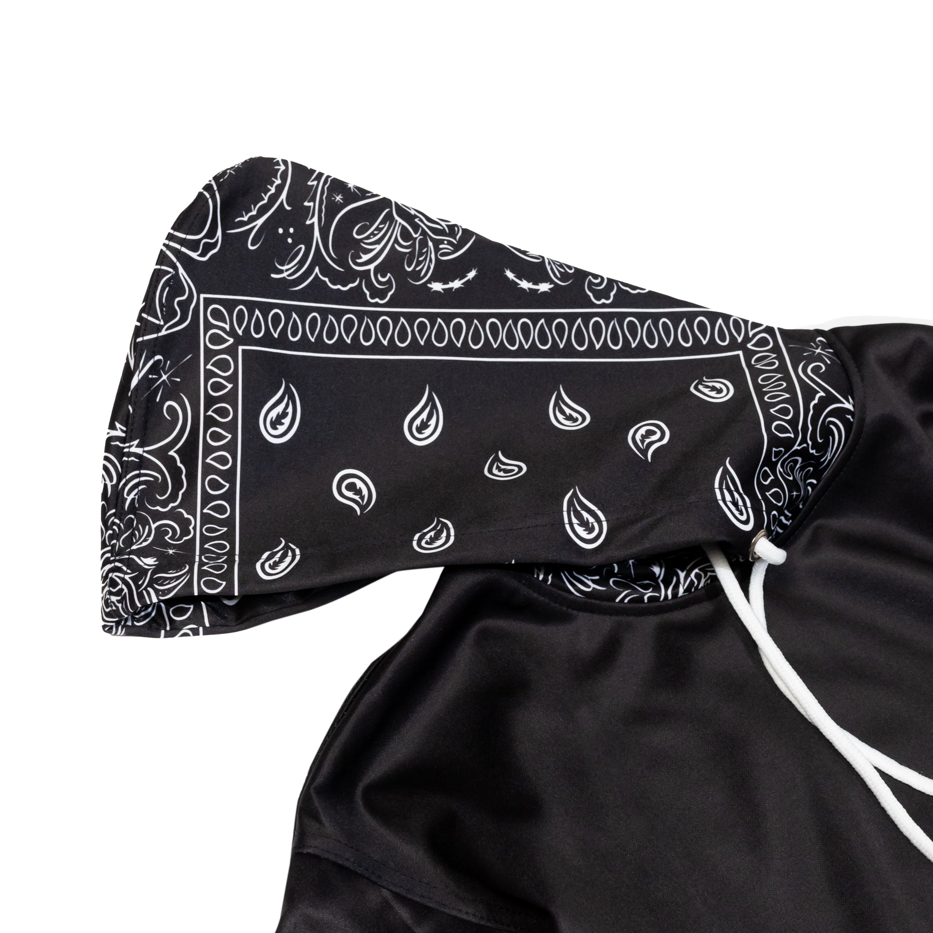 Certified Pullover Hoodie